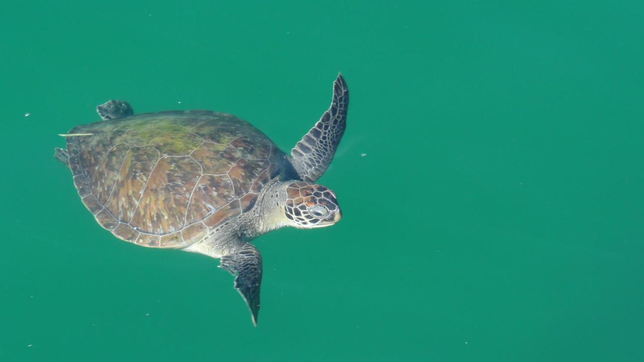 Pousada Cruzoe Praia de Araçatiba Exteriör bild