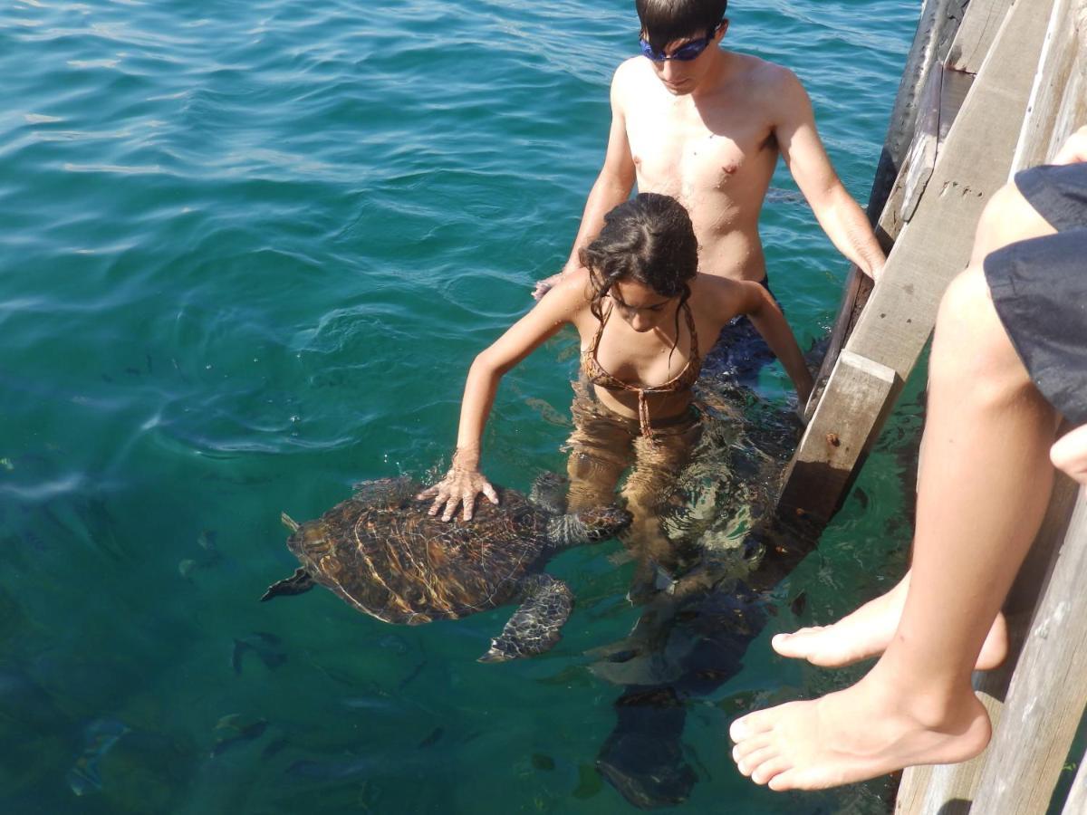 Pousada Cruzoe Praia de Araçatiba Exteriör bild